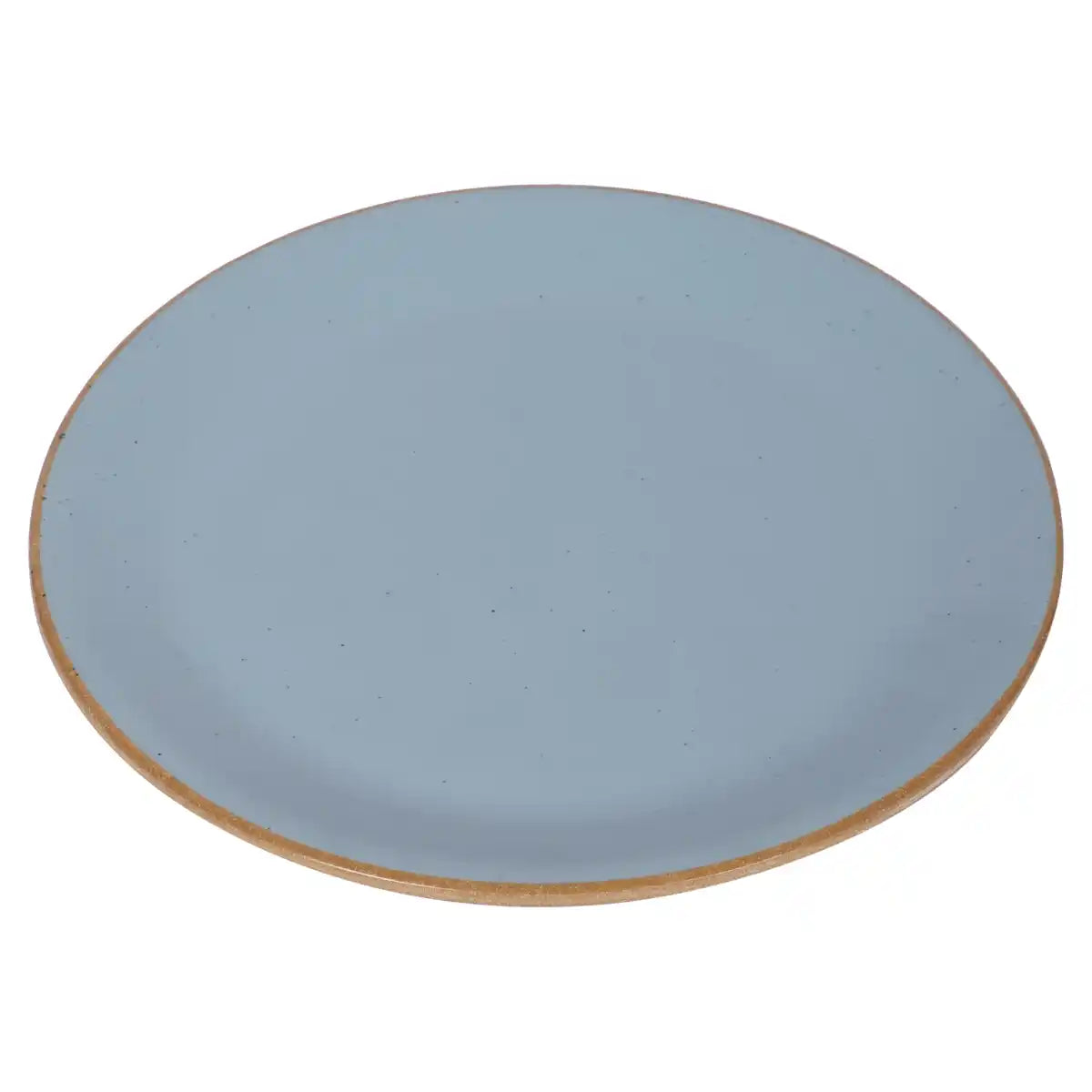 Dual Aqua Melamine Dinner Plate Set of 6 | 7.5