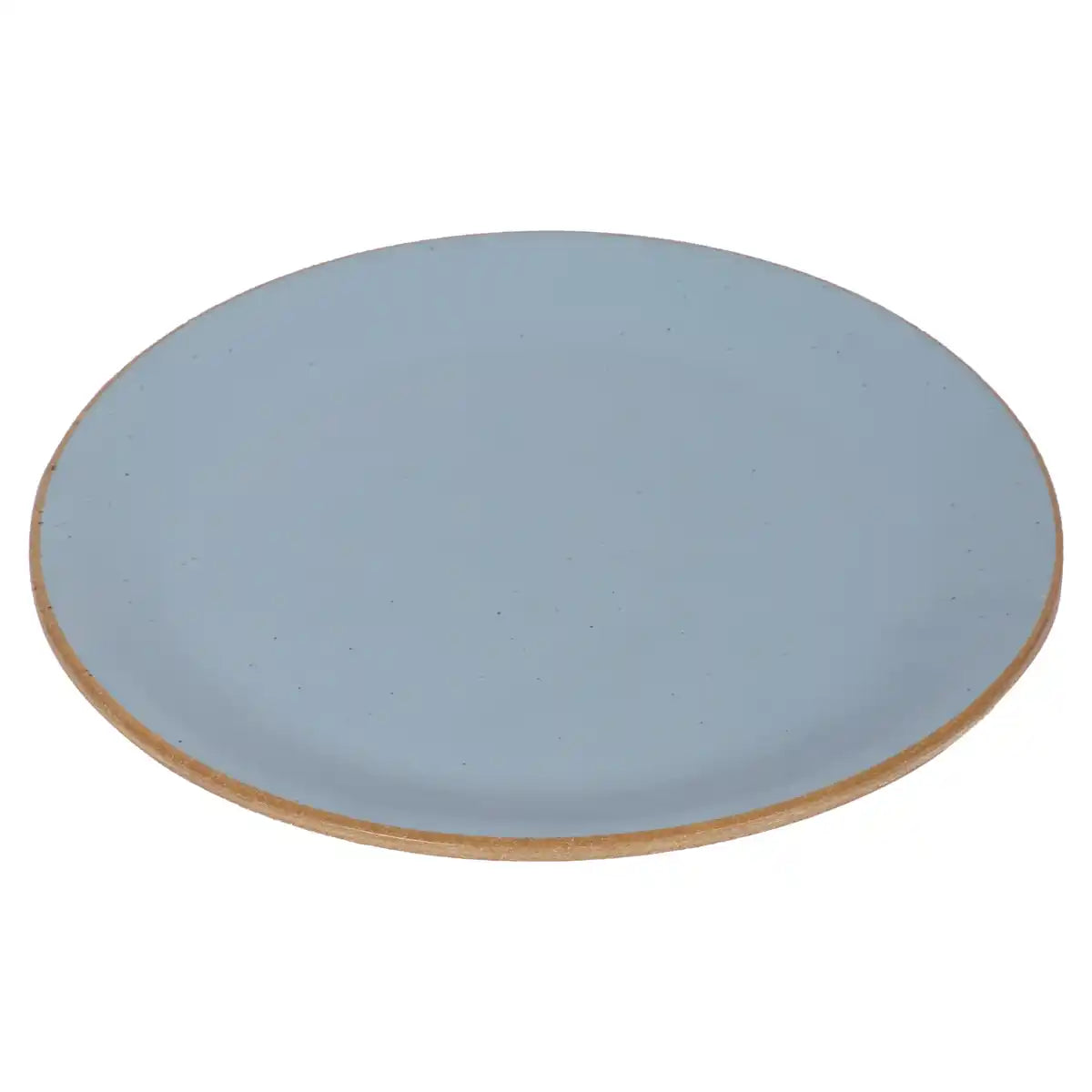 Dual Aqua Melamine Dinner Plate Set of 6 | 7.5