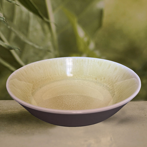 Stehlen 100% Pure melamine Ombre Dish Bowl, Dishwasher safe, FDA Approved, Heat resistant upto 140 degrees, Elegant, Durable, and Versatile for Every Occasion - Lime