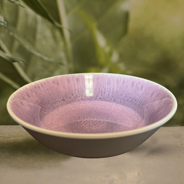 Stehlen 100% Pure melamine Ombre Dish Bowl, Dishwasher safe, FDA Approved, Heat resistant upto 140 degrees, Elegant, Durable, and Versatile for Every Occasion -Purple